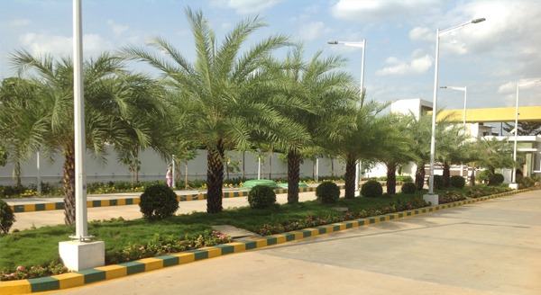 chennai swimming pool maintenance, chennai gardening, chennai landscape architects, landscape in chennai,